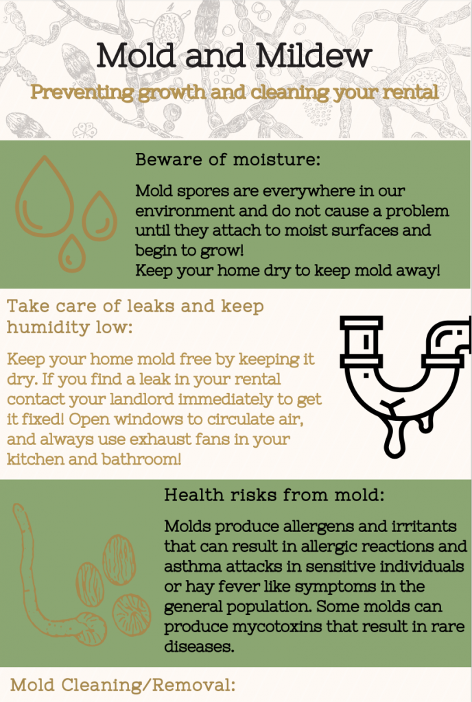 Poster with information about Mold and mildew